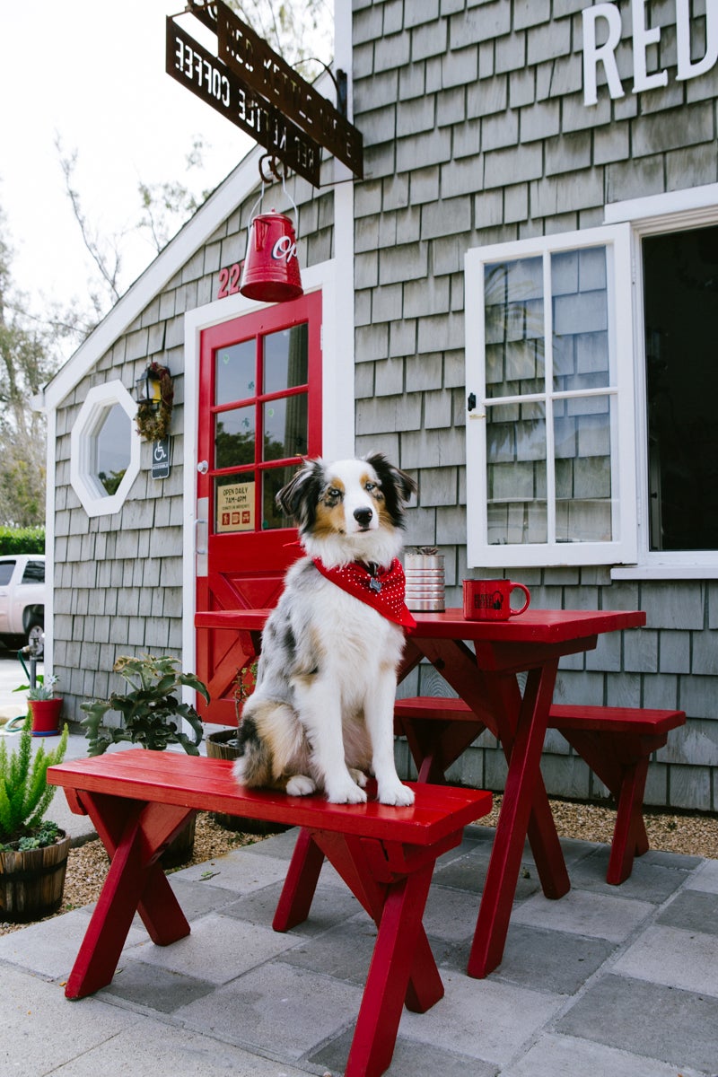 Home  Red Kettle Coffee